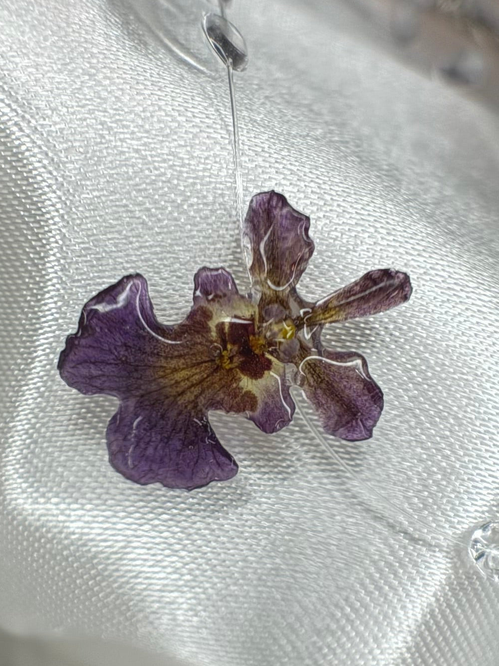 Fly