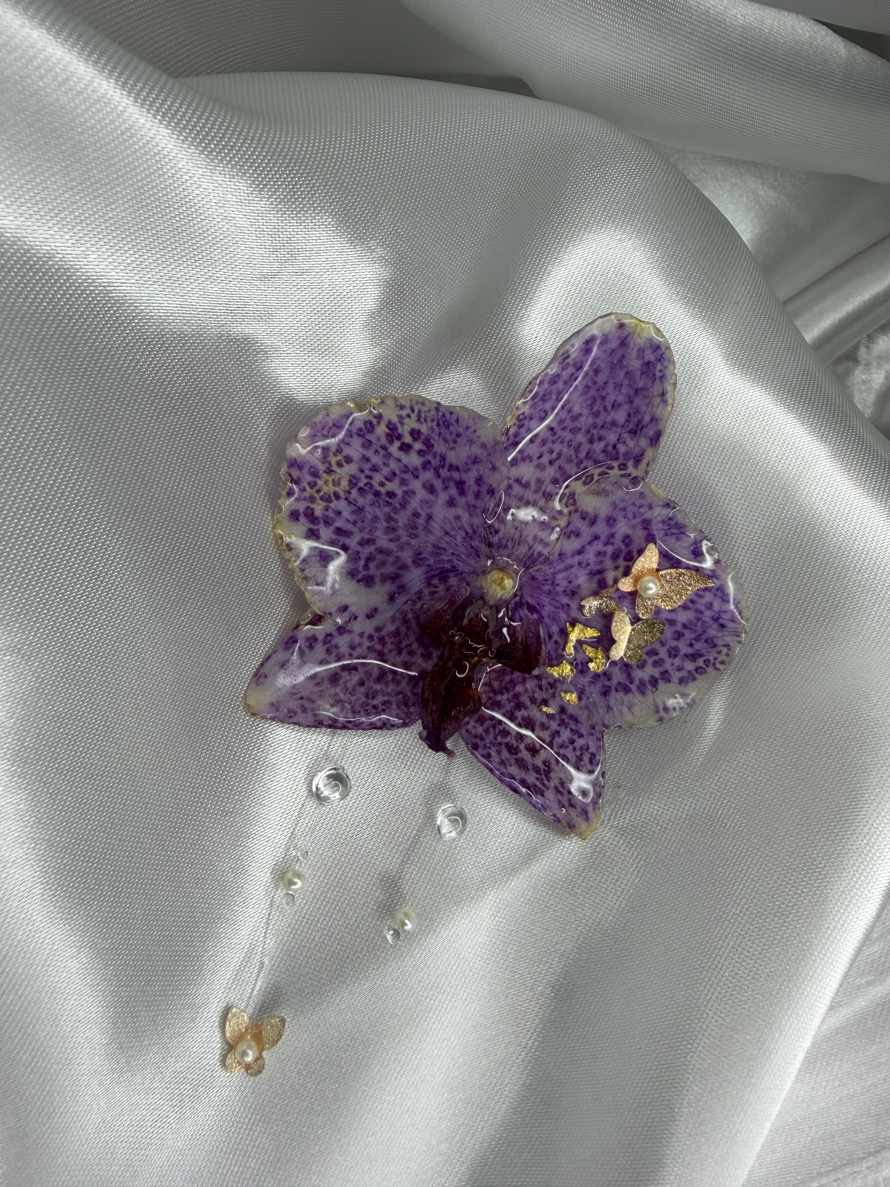 Butterfly paradise hair clip